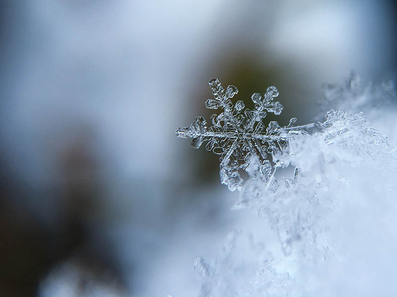 Winter Weather Preparation Week